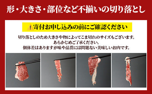 【 年内お届け 】熊本あか牛 切り落とし 計1Kg (500g×2)  ※12月18日～28日発送※ 年内発送 年内配送  国産 牛肉 冷凍 熊本 熊本県産 あか牛 赤牛 切り落とし 041-0136-R612