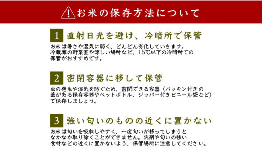 令和6年産 新米【美人米】白米10kg 【千葉県神崎町産】[002-a001]