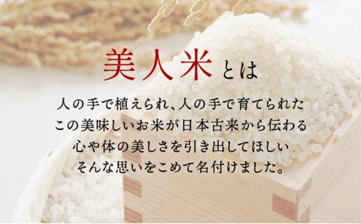 令和6年産 新米【美人米】白米10kg 【千葉県神崎町産】[002-a001]