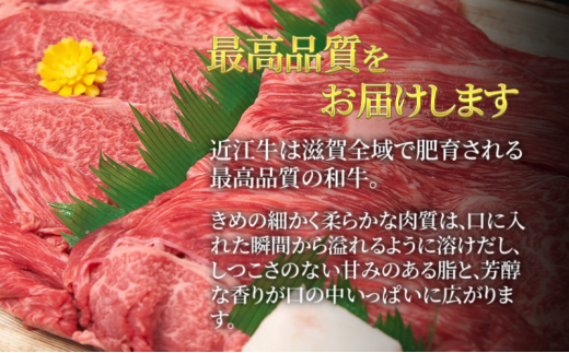 牛肉 近江牛 赤身薄切り 800g 肉 お肉 赤身 牛 近江 和牛 ブランド牛 プレゼント お取り寄せ 日野町 滋賀県