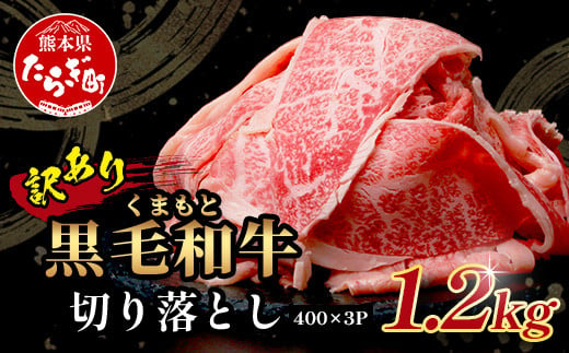 【定期便3回】訳あり くまもと黒毛和牛 切り落とし 1.2kg 