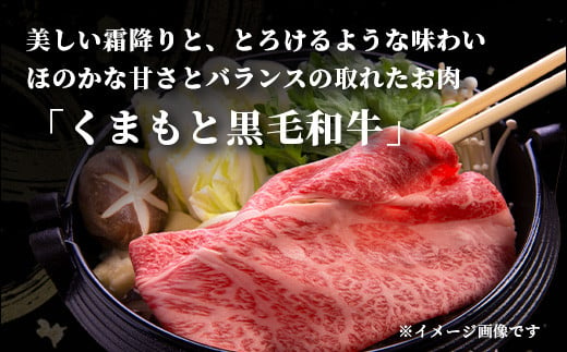 【定期便3回】訳あり くまもと黒毛和牛 切り落とし 1.2kg 