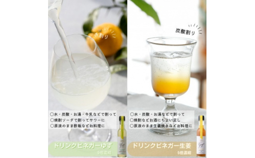 飲む酢のイメージを変える!ドリンクビネガー5本セット(ぶどう・ゆず・生姜)　≪飲むワインビネガー≫【1282622】