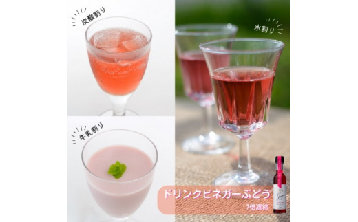 飲む酢のイメージを変える!ドリンクビネガー5本セット(ぶどう・ゆず・生姜)　≪飲むワインビネガー≫【1282622】