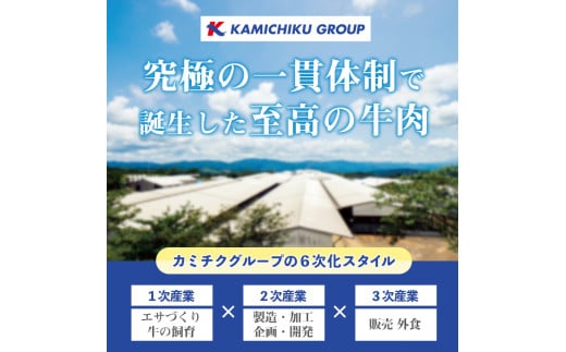 No.544 ＜数量限定＞お肉屋さんが作った！国産焼きぎゅーざ(計120個・8個入り×15P)国産 九州産 牛肉 黒毛和牛 和牛 餃子 ギョウザ おかず 惣菜 野菜【カミチク】