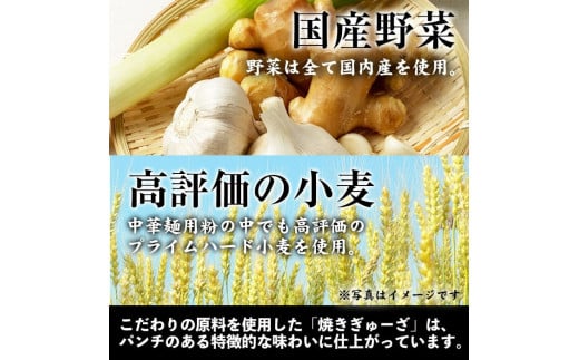 No.544 ＜数量限定＞お肉屋さんが作った！国産焼きぎゅーざ(計120個・8個入り×15P)国産 九州産 牛肉 黒毛和牛 和牛 餃子 ギョウザ おかず 惣菜 野菜【カミチク】