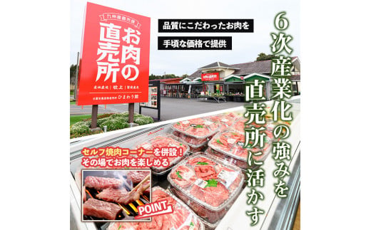 No.544 ＜数量限定＞お肉屋さんが作った！国産焼きぎゅーざ(計120個・8個入り×15P)国産 九州産 牛肉 黒毛和牛 和牛 餃子 ギョウザ おかず 惣菜 野菜【カミチク】