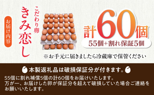 きみ恋し 60個（55個+割れ保証5個） 箱入り たまご 鶏卵