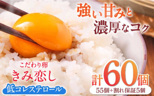 きみ恋し 60個（55個+割れ保証5個） 箱入り たまご 鶏卵