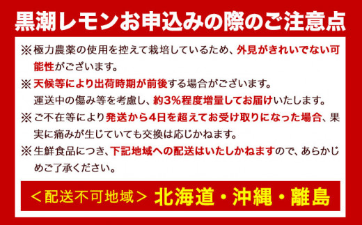 加工用 黒潮レモン 5kg+150g（傷み補償分）和歌山有田産 防腐剤・WAX不使用 安心の国産レモン わけあり 訳ありレモン 果汁用 池田鹿蔵農園@日高町（池田農園株式会社）《9月上旬-4月末頃出荷》和歌山県 日高町 柑橘【配送不可地域あり】