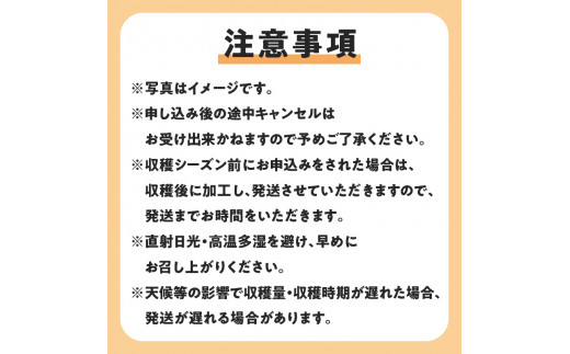 【先行受付】沖永良部島の甘くて美味しい無添加ドライフルーツ（パパイヤ）30g×5袋　W051-008u