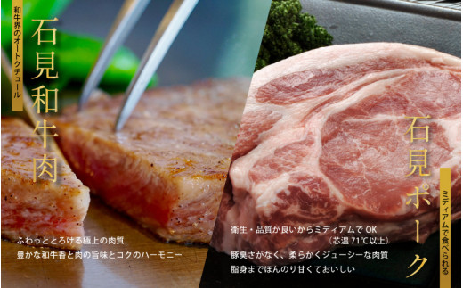 「定期便 全4回」邑南自慢 石見和牛肉・石見ポークの定期便 総重量3.9kg