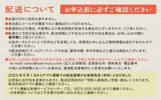 【限定50セット】2025年4月配送開始！今帰仁おすすめフルーツの定期便4回