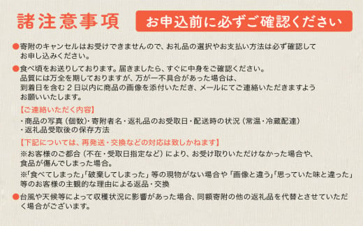 【限定50セット】2025年4月配送開始！今帰仁おすすめフルーツの定期便4回