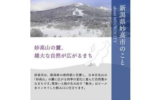 【6ヶ月定期便】妙高高原アルペンブリックビール３種ギフトセット(500ml×12本)全6回