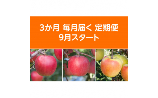 ＜発送月固定定期便＞〈2024年9月より順次発送〉甘味系・青森県産りんご約3kg 全3回【4051687】