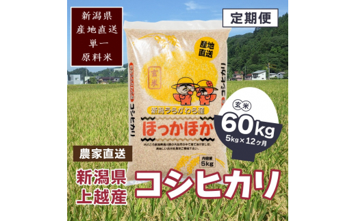 定期便 12回【毎月】新潟県 上越市 浦川原産 極上の雪国米 コシヒカリ 5kg (5kg×1) 玄米 こしひかり 米