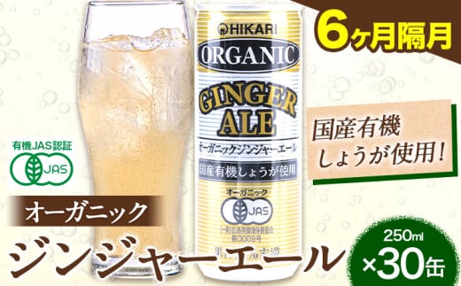 【6ヶ月隔月定期便】 ジンジャーエール 250ml×30缶 光食品株式会社 定期 隔月 計6回お届け 《お申込み月の翌月から出荷開始》 徳島県 上板町 ジュース 炭酸水 光食品 ジンジャーエール オーガニック 有機