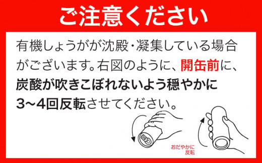 【6ヶ月隔月定期便】 ジンジャーエール 250ml×30缶 光食品株式会社 定期 隔月 計6回お届け 《お申込み月の翌月から出荷開始》 徳島県 上板町 ジュース 炭酸水 光食品 ジンジャーエール オーガニック 有機