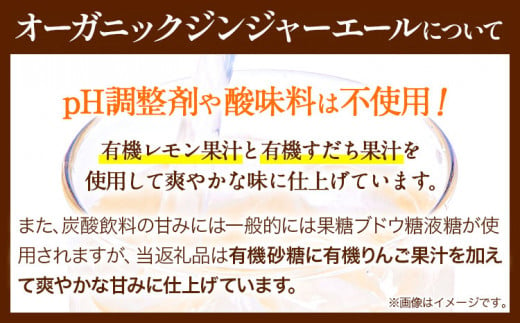 【6ヶ月隔月定期便】 ジンジャーエール 250ml×30缶 光食品株式会社 定期 隔月 計6回お届け 《お申込み月の翌月から出荷開始》 徳島県 上板町 ジュース 炭酸水 光食品 ジンジャーエール オーガニック 有機