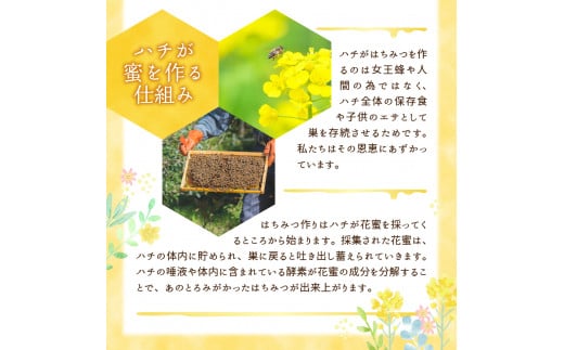 はちみつ 【千代田町の蜂蜜】600g 百花蜂蜜 群馬県 千代田町 ハチミツ 蜂蜜 ハニー 蜜 国産 天然 パン 食パン トースト パンケーキ ヨーグルト 送料無料 お取り寄せ ギフト 贈り物 贈答用 プレゼント