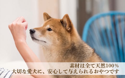 愛犬用★無添加おやつ★エゾ鹿干し肉12個入り 計360g≪REAL DOG FOOD≫