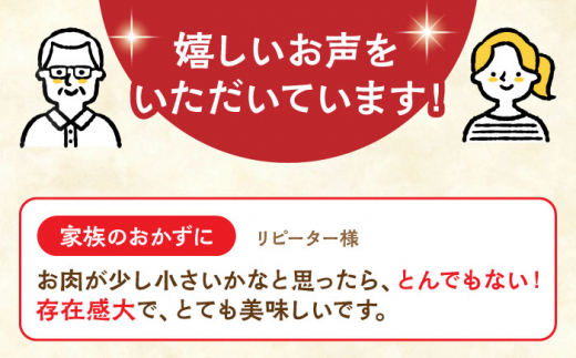 【全3回定期便】長崎角煮まぶし5袋【株式会社岩崎食品】 [QBR031]