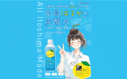 【期間限定】糸島はるかの炭酸水 500ml×24本入り 糸島市 / スターナイン [ARM021] 炭酸水 ペットボトル 500ml 24本