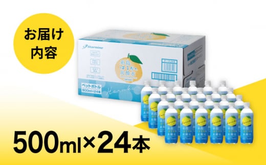 【期間限定】糸島はるかの炭酸水 500ml×24本入り 糸島市 / スターナイン [ARM021] 炭酸水 ペットボトル 500ml 24本