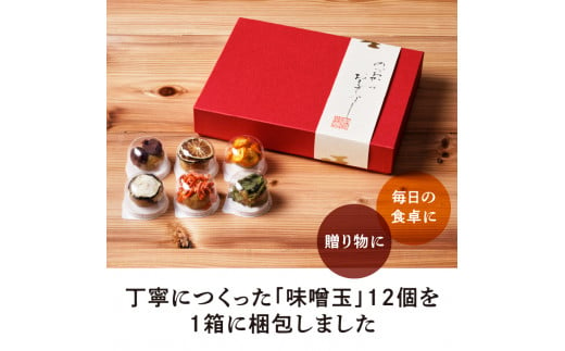 乾燥野菜と味噌玉「みそ丸子」12個入りセット N089-YZA152