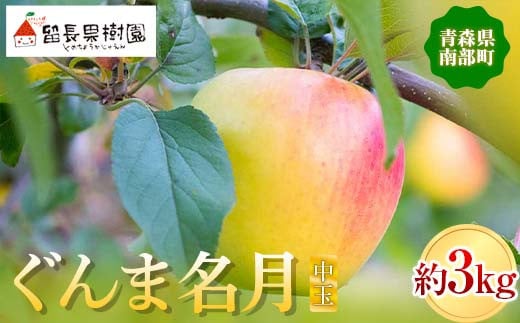 ぐんま名月（中玉） 約3kg ［10～11個入］ 【留長果樹園】 青森りんご りんご リンゴ 林檎 アップル ぐんま名月 フルーツ 果物 くだもの あおもり 青森 青森県 南部町 三戸 南部 F21U-215