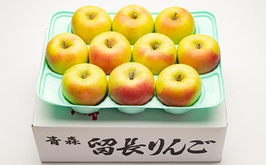 ぐんま名月（中玉） 約3kg ［10～11個入］ 【留長果樹園】 青森りんご りんご リンゴ 林檎 アップル ぐんま名月 フルーツ 果物 くだもの あおもり 青森 青森県 南部町 三戸 南部 F21U-215