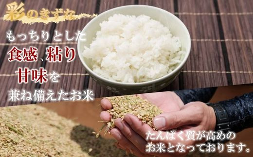 【令和６年産　新米】埼玉ブランド米　彩のきずな　5kg