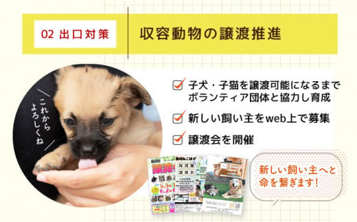 【お礼の品なし】犬猫殺処分ゼロプロジェクト＜300,000円＞長崎県ふるさと納税[42ZZAE007]長崎 長崎の変 動物 犬 猫 いぬ ねこ イヌ ネコ 保護犬 保護猫 支援 応援 チョイス限定 動物愛護 保護 どうぶつ 地域猫 寄付のみ