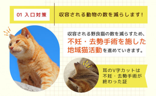 【お礼の品なし】犬猫殺処分ゼロプロジェクト＜300,000円＞長崎県ふるさと納税[42ZZAE007]長崎 長崎の変 動物 犬 猫 いぬ ねこ イヌ ネコ 保護犬 保護猫 支援 応援 チョイス限定 動物愛護 保護 どうぶつ 地域猫 寄付のみ