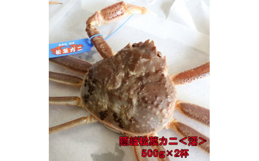 隠岐松葉カニ 計1kg 500g×2杯〈活〉