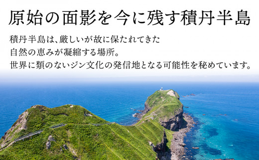 ジン 北海道 積丹 酒 アルコール 火の帆 UMI 500ml 2本