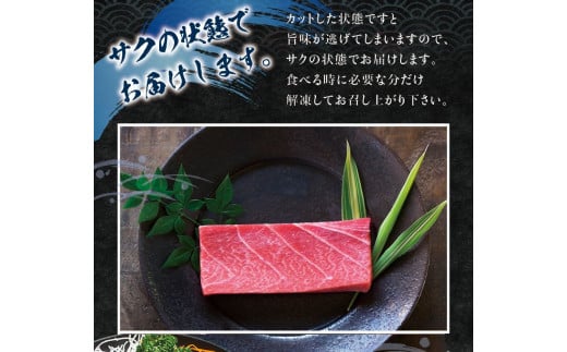 【期間限定 特別寄付額】本マグロ（養殖）トロ＆赤身セット 500g 【1月発送】高級 クロマグロ  中トロ 中とろ まぐろ マグロ 鮪 赤身 柵 じゃばらまぐろ 本マグロ 本鮪【nks110B_cp-1】