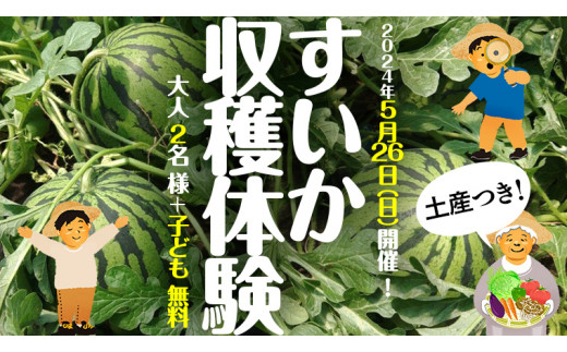 すいか 収穫 体験 チケット 【 大人 2名 様 +子ども 無料】 2024年5月26日（日） 開催 ！  すいか スイカ 西瓜 すいか狩り 収穫 体験 チケット お土産 思い出 [CQ007sa]