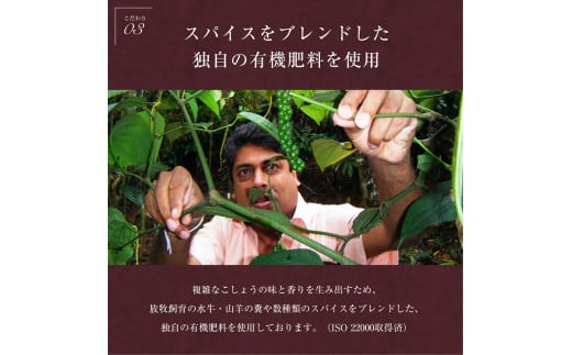 ＜世界初・元祖＞粒生こしょう 30g×3個【1391432】