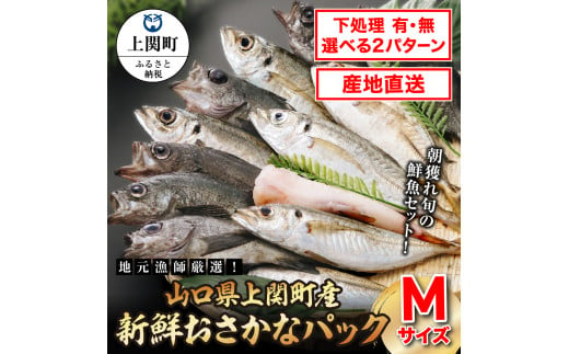 A-25　新鮮おさかなパック（Mサイズ／鮮魚）