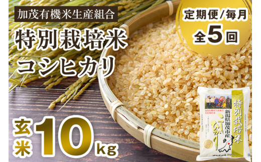 【令和6年産新米先行予約】【定期便5ヶ月毎月お届け】特別栽培米 コシヒカリ 玄米 10kg（5kg×2）従来品種 従来コシヒカリ お米 米 加茂有機米生産組合 新潟県 加茂市産 定期便