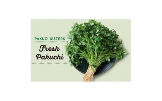 『PAKUCI SISTERS』の新鮮パクチー 1kg【1497692】