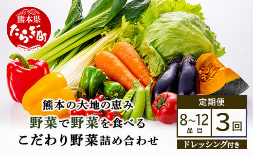 定期便3回【 野菜で野菜を食べる 】旬のこだわり 野菜 ＆ドレッシング セット  (3〜4名様向け) 