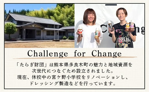 定期便3回【 野菜で野菜を食べる 】旬のこだわり 野菜 ＆ドレッシング セット  (3〜4名様向け) 