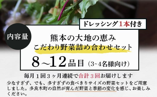 定期便3回【 野菜で野菜を食べる 】旬のこだわり 野菜 ＆ドレッシング セット  (3〜4名様向け) 