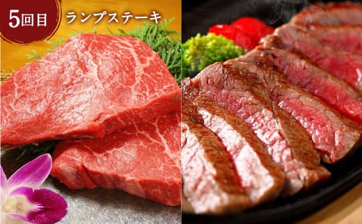 あか牛 たっぷり堪能 定期便（毎月1品、6ヶ月）  ステーキ 5種 焼肉セット