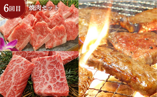 あか牛 たっぷり堪能 定期便（毎月1品、6ヶ月）  ステーキ 5種 焼肉セット