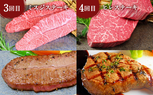 あか牛 たっぷり堪能 定期便（毎月1品、6ヶ月）  ステーキ 5種 焼肉セット