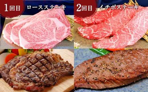 あか牛 たっぷり堪能 定期便（毎月1品、6ヶ月）  ステーキ 5種 焼肉セット